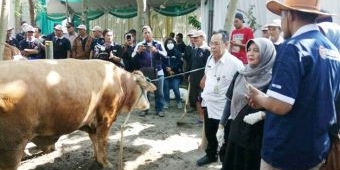 Jelang Idul Adha, Pemkot Kediri Gelar 'Apel' Hewan Ternak