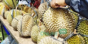 Festival Durian di Lereng Kelud Sajikan Berbagai Varietas Durian Lokal