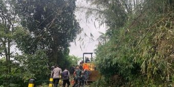 Akhir November, Hujan Deras Akibatkan Pohon Tumbang dan Tanah Longsor Landa Kota Batu