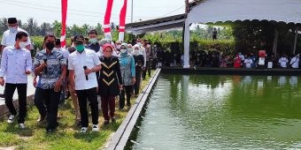 Budi Daya Ikan Koi Pakai Sistem Internet di Blitar, Mendes PDTT: Ini Satu-satunya di Indonesia