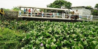 Antisipasi Luapan Banjir, Kecamatan Beji Siapkan Tim Pembersih Sungai Wrati