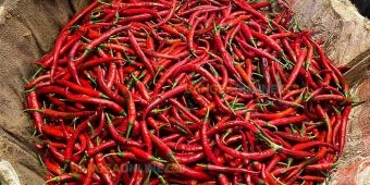 Fluktuasi Harga Sembako Kota Batu Hari Ini: Cabai Besar Melonjak, Bawang Merah Merosot