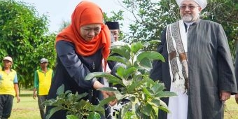 Khofifah Kenalkan Kekayaan Agrikultur Jatim ke Syekh Afeefuddin Al-Jailani