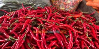 Fluktuasi Harga Sembako Jatim 19 Ramadan 2026: Rawit Turun Rp1.100, Cabai Besar-Keriting Naik Tipis