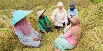 BPS Sebut Jatim Penghasil Beras Tertinggi Sejak 2020-2024, Khofifah: Berkat Semangat Insan Pertanian