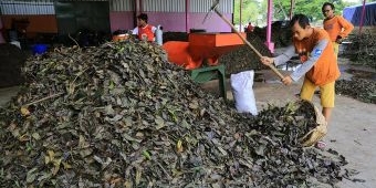 Rumah Kompos Tekan Timbulan Sampah, DLH Surabaya Hemat Rp6,73 Miliar per Tahun