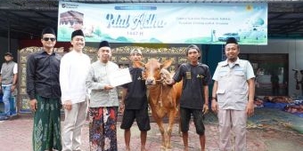 PLN UP3 Madura Kurban 10 Sapi dan 8 Kambing, Tebar Kepedulian di Momentum Iduladha