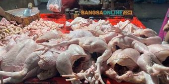 Daging Ayam Kampung Turun, Simak Daftar Lengkap Harga Sembako Jatim Hari Ini 14 September 2025
