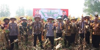 Polres Mojokerto Kota Panen Raya Jagung Tahap II