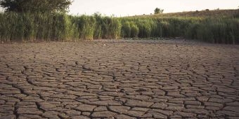 El Nino 2026 Ancam Krisis Pangan dan Kekeringan Global