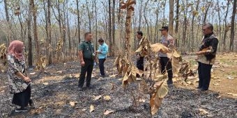 Forkopimcam Kandangan Gelar Patroli Cegah Kebakaran Hutan dan Lahan