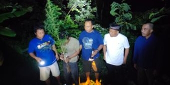 Tanam Ganja di Pot, Dua Warga Plosoklaten Kediri Dibekuk Polisi