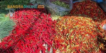 Update Harga Sembako Jatim 16 September 2025, Cabai Besar dan Keriting Naik