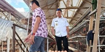 Wakil Bupati Blitar Serap Aspirasi Peternak Ayam, Dorong Stabilitas Harga dan Ekspor Telur
