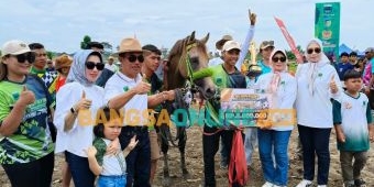 Jaring Atlet untuk Porprov, Pordasi Kediri Gelar Kejurprov Berkuda di Lapangan Desa Wates