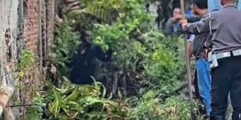 Residivis Curanmor Gasak HP di Sukomanunggal, Sembunyi di Lumpur Got 3 Jam sampai Ketahuan Warga