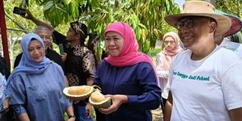 Usai Viral di TikTok Milik Khofifah, Durian Black Thorn Blitar Mulai Dilirik Pasar Luar Negeri