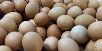 Update Harga Sembako Jatim Hari ini 15 Januari 2025, Telur Ayam Kampung Turun Rp5 Ribu per Kg