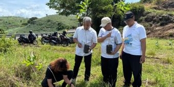 Penanaman 3.000 Bibit Tabebuya Bakal Percantik JLS Serang–Tambakrejo Blitar