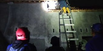 Damkar Kabupaten Pasuruan Evakuasi Sarang Tawon Vespa Raksasa di Atap Rumah Warga