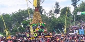 Kenduren Durian Wonosalam, Pengunjung Ricuh Berebut Hingga Terluka