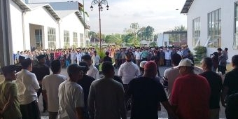 Gelar Pawai Tembakau dan Upacara HUT ke-80 RI, P4TM Serukan Perhatian untuk Petani
