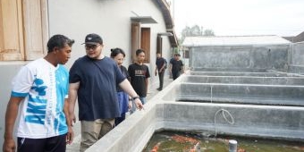 Nilai Ekonomis Capai Rp700 Milyar, Pemkab Kediri Bakal Gelar Kediri Koi Show 12