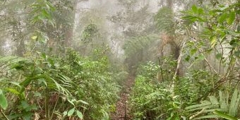 Jangan Salah! Keduanya Bisa Dilakukan di Gunung, Tapi Inilah Beda Hiking dan Trekking