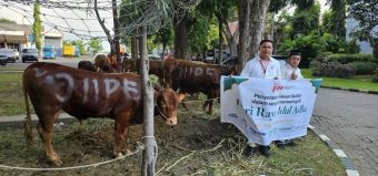 Iduladha 1446 H, BKMS dan Perusahaan di Kawasan JIIPE Salurkan Puluhan Hewan Kurban