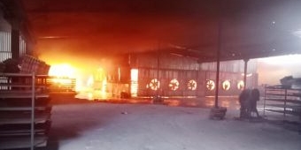Si Jago Merah Kembali Lahap Pabrik Tray Telur Mojokerto, Kerugian Diduga Capai Ratusan Juta Rupiah