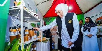 NTE KTH Jatim Tertinggi Nasional, Gubernur Khofifah Apresiasi Hilirisasi Perhutanan Sosial