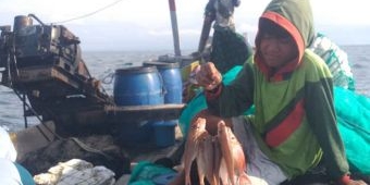 Nelayan Situbondo Terpuruk, Hasil Tangkapan Turun Drastis Sejak Awal November 2025