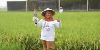 Gemapatas 2025: Kementerian ATR/BPN Dorong Warga Pasang Patok Tanah untuk Percepat PTSL