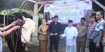 Bupati Trenggalek Serahkan Sapi Kurban Presiden Seberat 1 Ton dari Pogalan