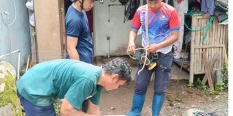Gercepnya Damkar Kediri Selamatkan Kucing Terjebak di Sumur dan Evakuasi Ular di Atap Rumah Warga