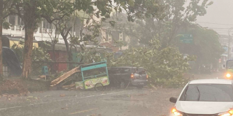 Hujat Lebat Siang Hari ini, Sejumlah Pohon di Pakisaji Malang Tumbang