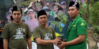 Dukung Program Ketahanan Pangan, Ansor Jatim Distribusikan 50 Ribu Bibit Buah