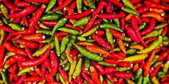 Update Harga Sembako Jatim 4 Januari 2026, Cabai Rawit Turun Lagi