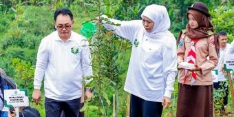 Tertinggi Nasional, Jawa Timur Catat NTE KTH Rp367,95 Miliar