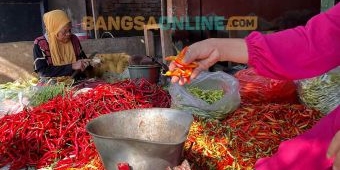 Daftar Harga Sembako Jatim 16 Oktober 2025: Cabai Keriting Rp46.784/kg, Rawit Rp26.874/kg