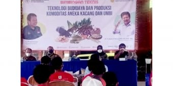 Kementan Gelar Bimtek untuk Tingkatkan Kualitas Ekspor Ubi Jalar di Mojokerto