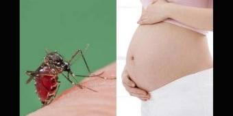 Belum Ada Obatnya, Virus Zika Bikin Kepala Bayi Mengecil
