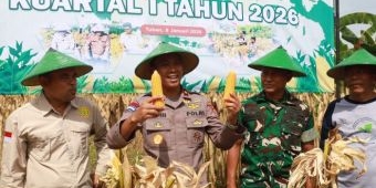 Awal Tahun, Polres Tuban Gelar Panen Raya Jagung Kuartal IV