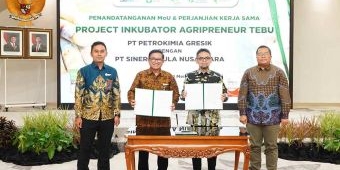 Dorong Generasi Muda Bertani dan Swasembada Gula, Petrokimia Gresik Dukung Program Agripreneur Tebu