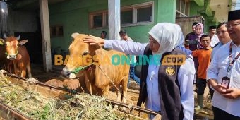 Gubernur Khofifah Raih Best Local Government Support For Cattle Practitioners dari IDHSI