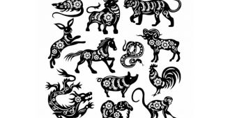 Ramalan Shio Jumat 21 Juni 2024: Tikus Hindari Jajan, Macan Keturutan Lebih Cepat