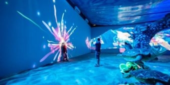 Millenial Glow Garden, Wisata yang Andalkan Hi Tech Projector Interaktif