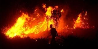 Kebakaran Hutan Pinus di Sooko Ponorogo Telan 1 Korban Jiwa