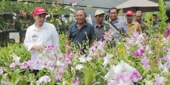 Songsong Pembanguan LWS, Bupati Nganjuk Tinjau Kawasan Agrowisata