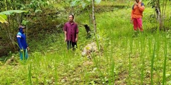 Ketua Poktan Sejahtera Desa Timahan Diduga Jual Pupuk Gratis Bantuan Kementan